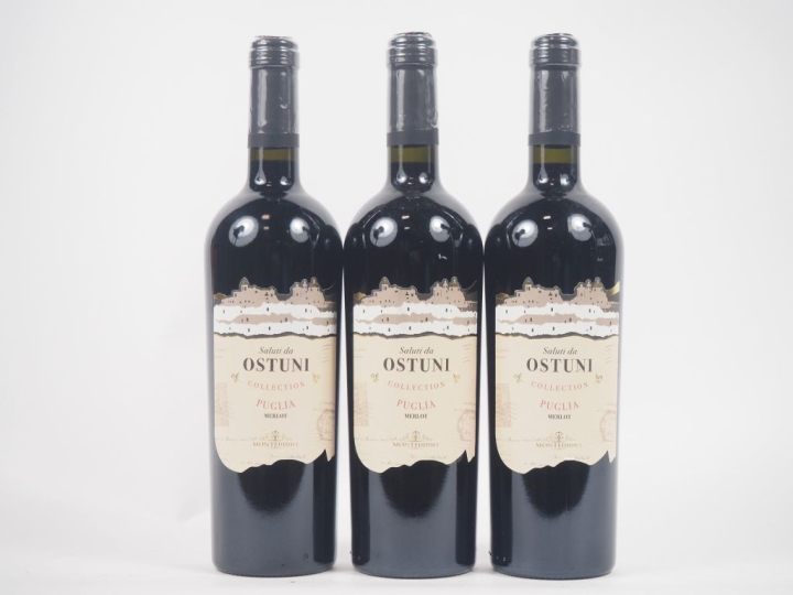 3 BOUTEILLES PUGLIA MERLOT MONTEDIDIO "SALUTI DA OSTUNI" - 2019