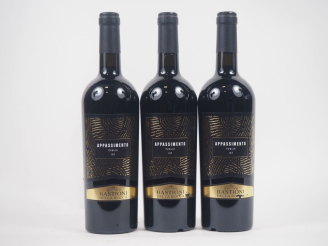 Vente aux enchères 3 BOUTEILLES BASTIONI DELLA ROCCA APPASSIMENTO 