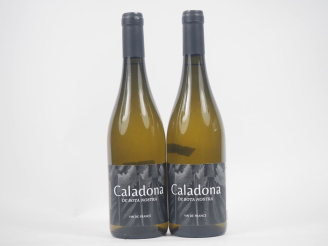 Vente aux enchères 2 BOUTEILLES CALADONA DE BOTA NOSTRA - NM 