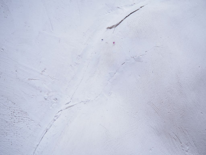 Paire de grands bas reliefs en platre et stuc représentant Vaslav Niji