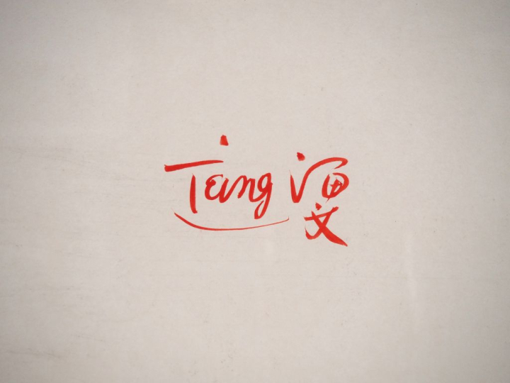 T'ANG HAYWEN.  "Composition en diptyque".  Encre sur papier Signée en 