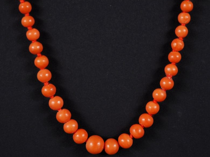 Collier de perles de corail disposées en chute. Fermoir et chainette d