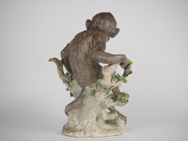 Sujet en porcelaine polychrome de Saxe XIXème "le singe aux fruits".  