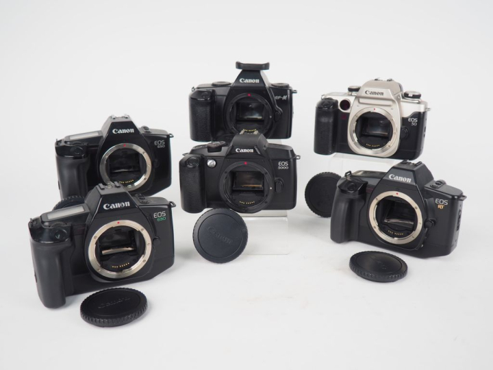CANON. Lot de six appareils photographiques reflex (sans objectifs): -