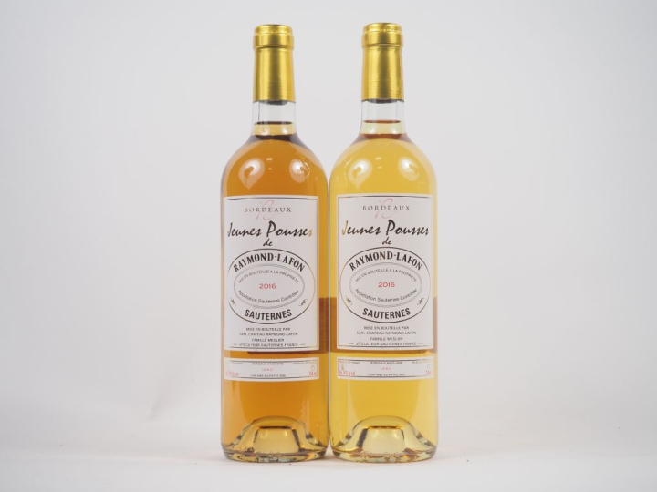 2 BOUTEILLES JEUNES POUSSES DE RAYMOND LAFON SAUTERNES - 2016
