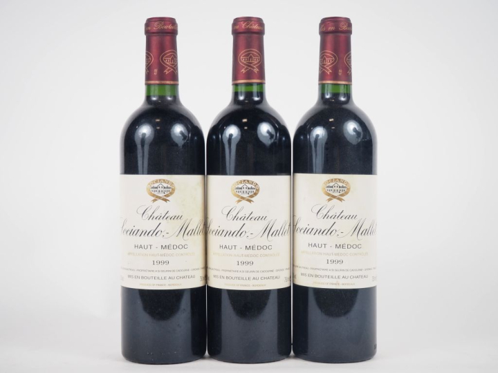 3 BOUTEILLES CHÂTEAU SOCIANDO MALLET HAUT MÉDOC - 1999 - 2 ELT 