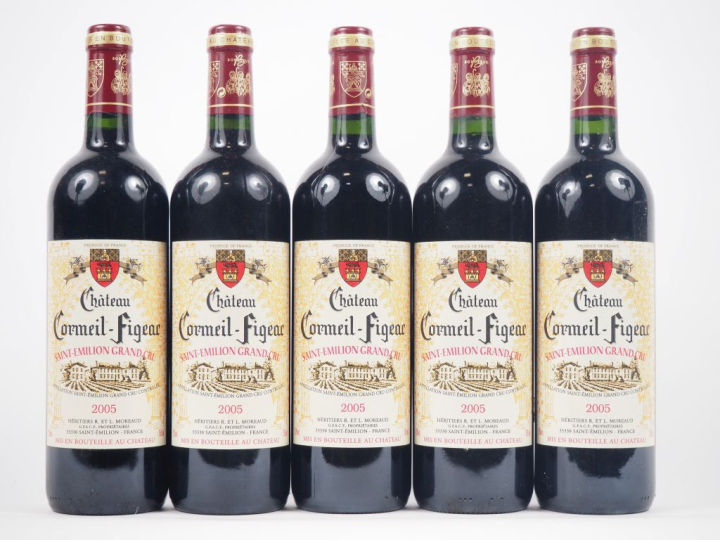 5 BOUTEILLES CHÂTEAU CORMEIL FIGEAC GC ST ÉMILION - 2005