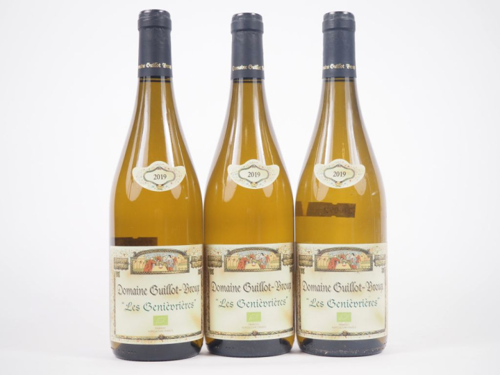 3 BOUTEILLES MACON CRUZILLE "LES GENEVRIÈVRES" DOMAINE GUILLOT BROUX -