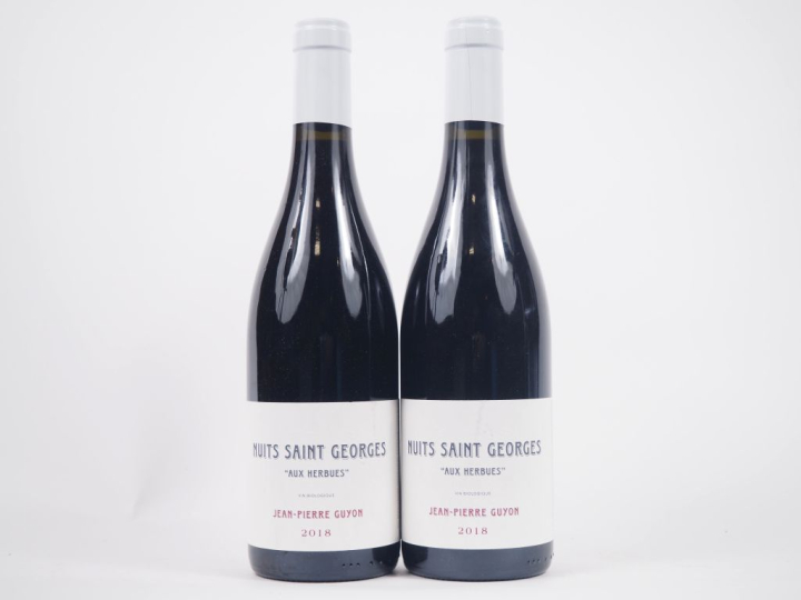 2 BOUTEILLES NUITS ST GEORGES "AUX HERBUES" JEAN PIERRE GUYON - 2018