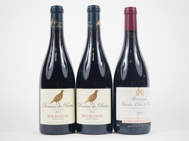 3 BOUTEILLES : 2 BOURGOGNE DOMAINE DES PERDRIX - 2014 / 1 BOURGOGNE HA