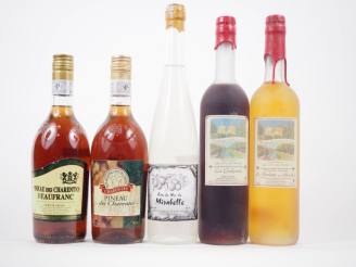Vente aux enchères 5 BOUTEILLES : 1 EAU DE VIE MIRABELLE / 2 PINEAU DES CHARENTES / 1 GAL