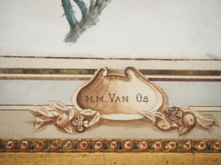 Maria Margaretha VAN OS. (attribué à) "le rosier pompon" Aquarelle Dim