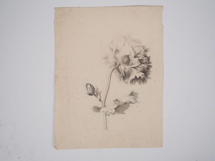 Portefolio : ensemble d'environ 110 dessins et 20 gravures.