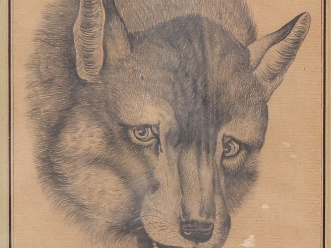 Ecole française XIXème. "Le loup". Dessin au crayon monogrammé en bas 