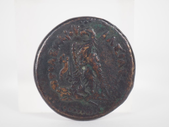 Royaume de Lagide, 247 - 222 Av J.C Pièce en bronze. Diam. 32 mm.