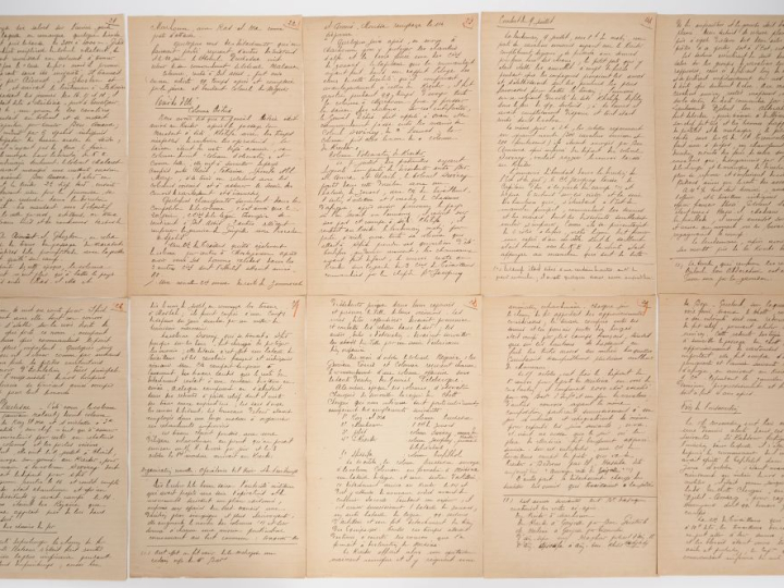 [ALGÉRIE - SAHARA]. 1880-1882. INSURRECTION DU SUD ORANAIS. FAITS PART