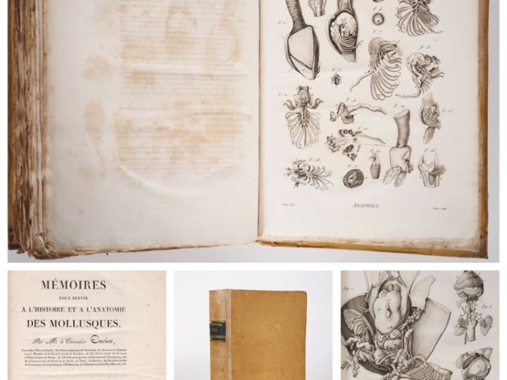 CUVIER (Georges). MÉMOIRES POUR SERVIR À L’HISTOIRE ET À L’ANATOMIE DE