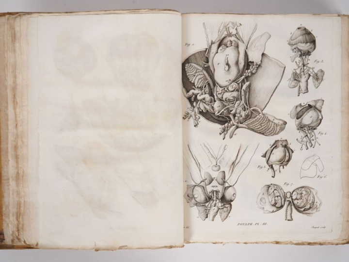 CUVIER (Georges). MÉMOIRES POUR SERVIR À L’HISTOIRE ET À L’ANATOMIE DE