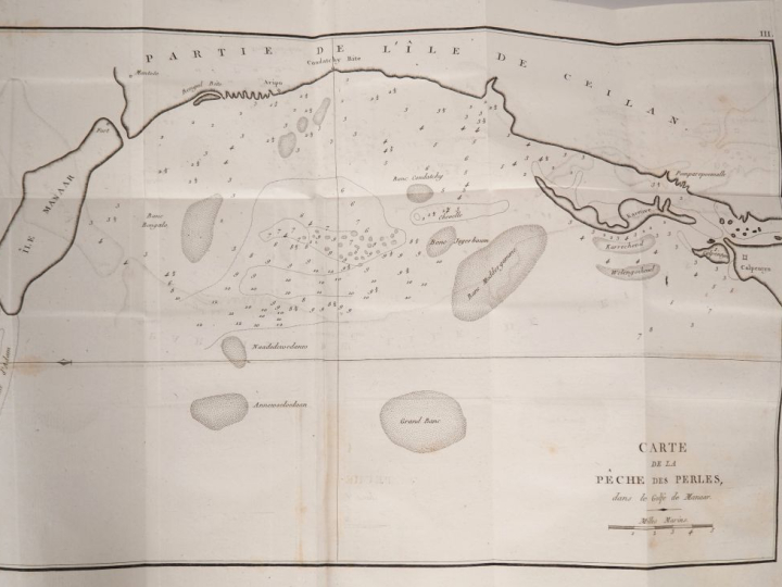 PERCIVAL (Robert).	VOYAGE À L'ÎLE DE CEYLAN, fait dans les années 1797