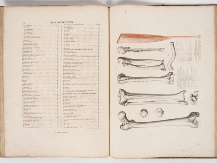 SALVAGE (J.-G.). ANATOMIE DU GLADIATEUR COMBATTANT, applicable aux Bea
