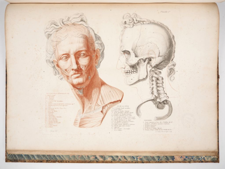 SALVAGE (J.-G.). ANATOMIE DU GLADIATEUR COMBATTANT, applicable aux Bea