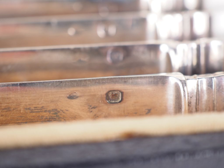 Service à dessert en nacre et argent 925, poinçon Minerve. Comprenant 