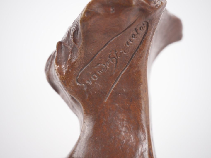 VANDERSTRAETEN. "jeune fille en buste" Sujet en bronze à patine médail