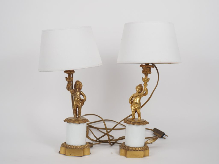 Paire de lampes de salon de style Louis XVI en bronze patiné et doré, 