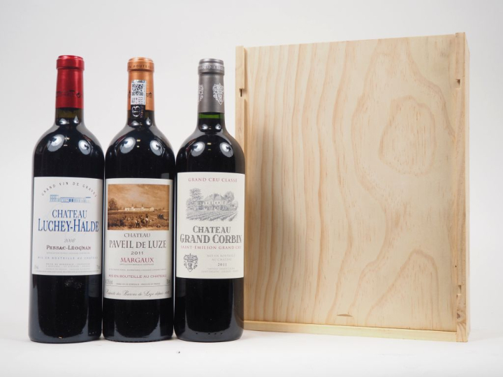 3 BOUTEILLES CBO : 1 CHÂTEAU LUCHEY HALDE GRAVES - 2008 / 1 CHÂTEAU PA
