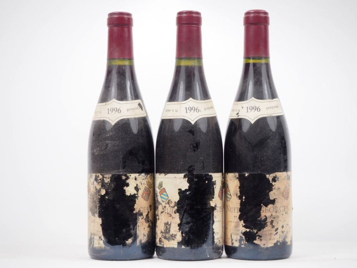 3 BOUTEILLES NUITS ST GEORGES 1er "LES DAMODES" HENRI ET GEORGES REMOR