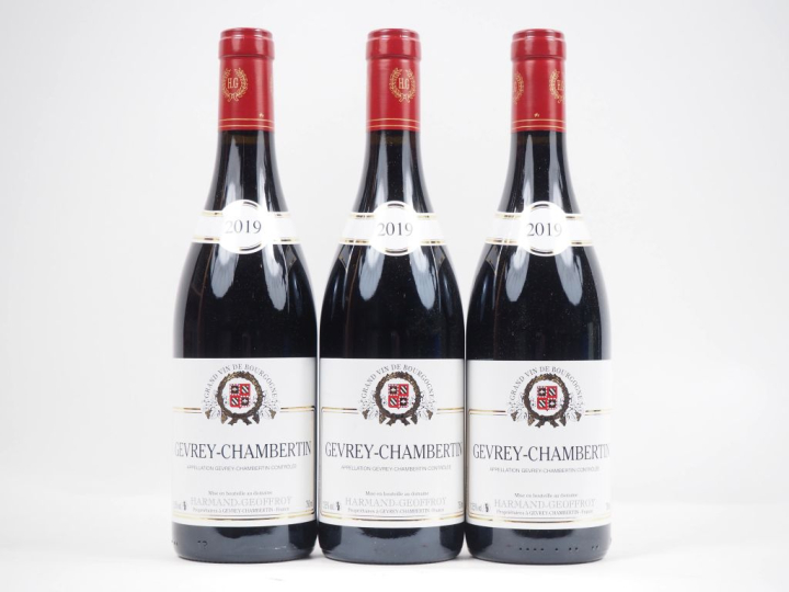 3 BOUTEILLES GEVREY CHAMBERTIN DOMAINE HARMAND GEOFFROY - 2019