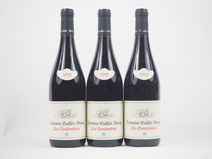 3 BOUTEILLES BOURGOGNE "LES GENIÈVRIÈRES" DOMAINE GUILLOT BROUX - 2019