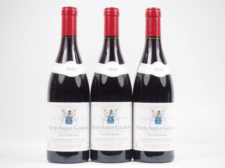 3 BOUTEILLES NUITS ST GEORGES "LES DAMODES" DOMAINE MACHARD DE GRAMONT