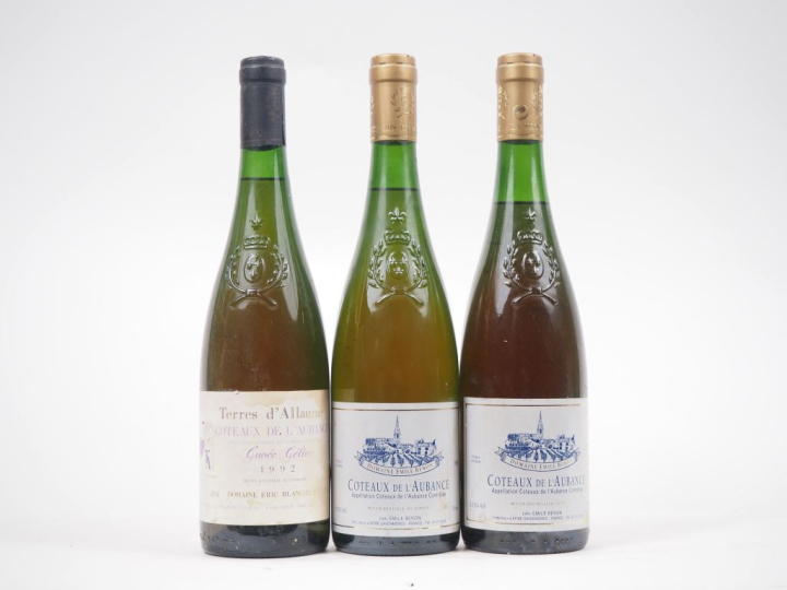 3 BOUTEILLES COTEAUX DE L'AUBANCE : 1 TERRES D'ALLAUME "CUVÉE CÉLINE" 