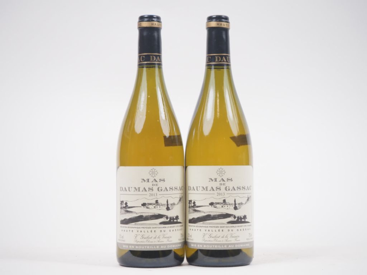 2 BOUTEILLES MAS DE DAUMAS GASSAC BLANC - 2013