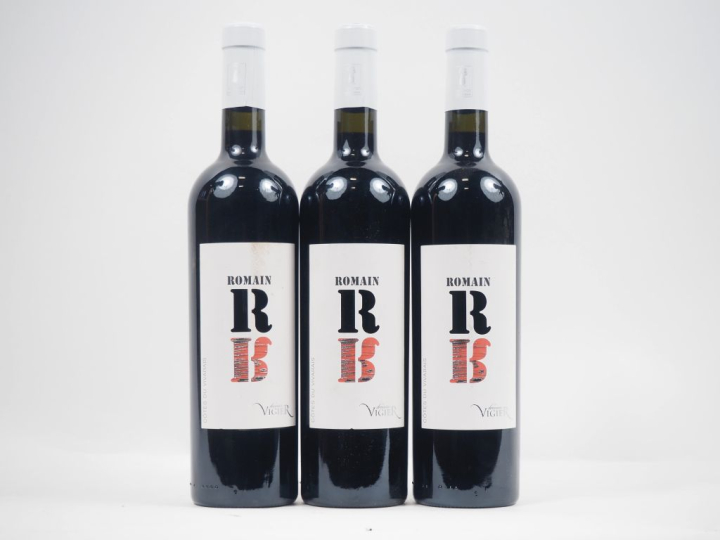 3 BOUTEILLES CÔTES DU VIVARAIS "ROMAIN" DOMAINE VIGIER - 2019