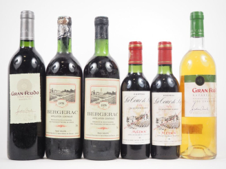 Vente aux enchères 6 BOUTEILLES : 1 NAVARRA VINAS VIEJA "GRAN FUEDO" - 1995 / 2 BERGERAC 