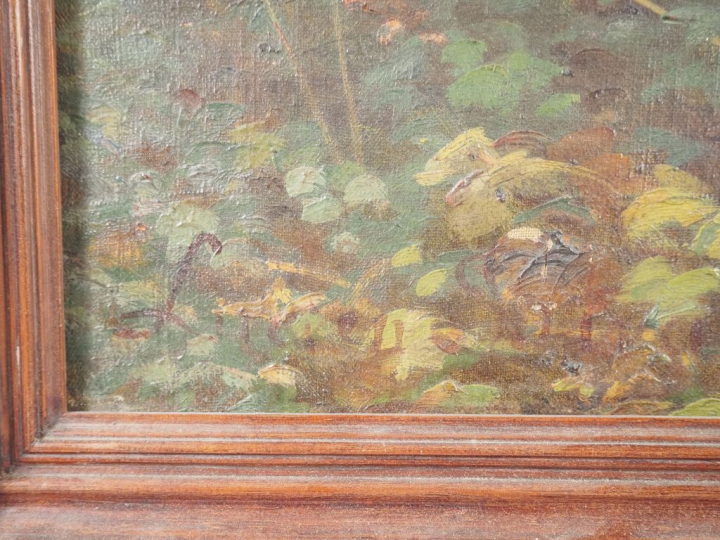 Ecole française Xxème.  'paysage lacustre'. Huile sur toile, signée Di