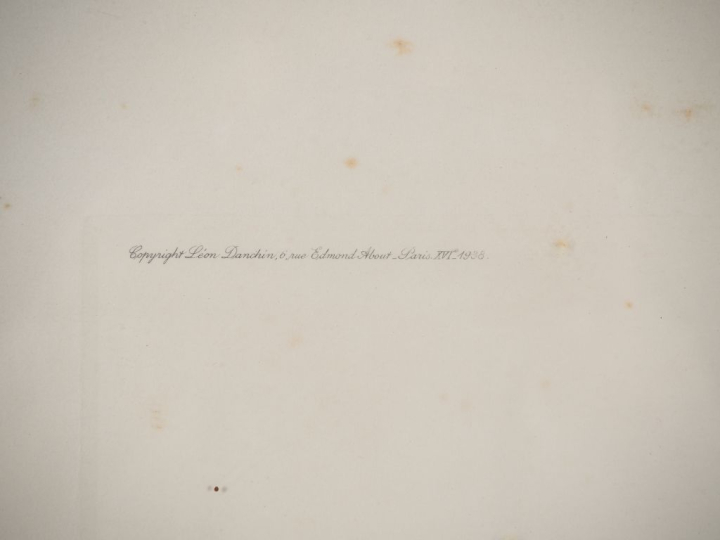 Léon DANCHIN.  "cocker" Lithographie