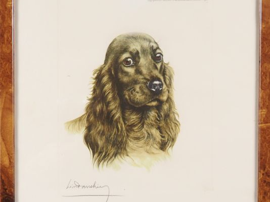 Léon DANCHIN.  "le cocker" Lithographie, signée en bas à gauche
