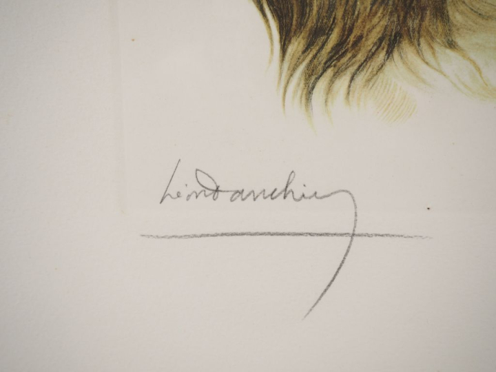 Léon DANCHIN.  "le cocker" Lithographie, signée en bas à gauche