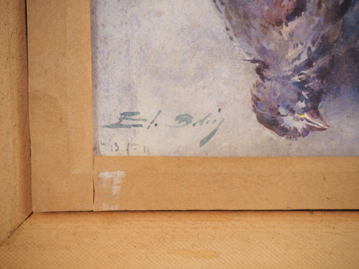 Blanche ODIN.  "portrait de la vache capitana" et "trophée d'oiseau" A
