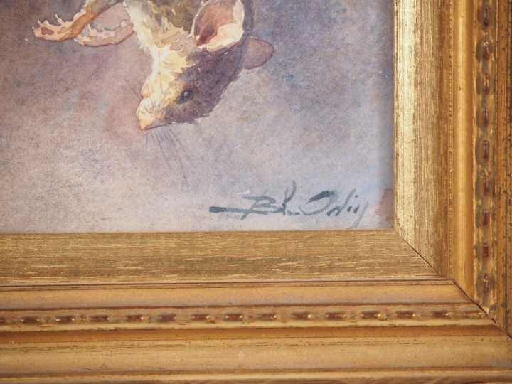 Blanche ODIN.  "Souris pendue par la queue" Aquarelle, signée en bas à