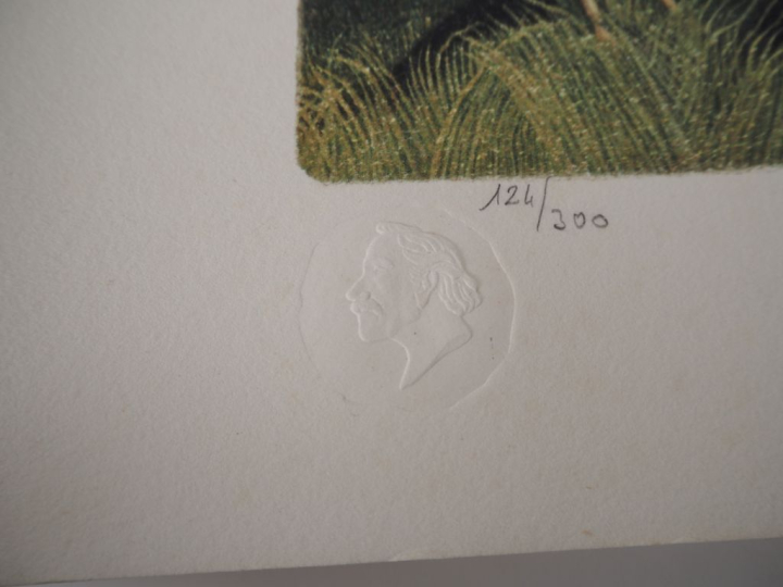 Henri ROUSSEAU (d'après). 4 lithographies modernes, signées et numérot