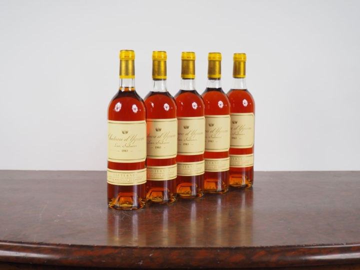 5 BOUTEILLES CHÂTEAU D'YQUEM 1er CCS SAUTERNES - 1981 - CBO x 12 - #1 