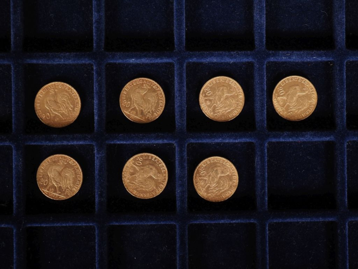 Sept pièces de 20 Francs or, 1900, 1902 (x3), 1904 et 1905 (x2).  FRAI