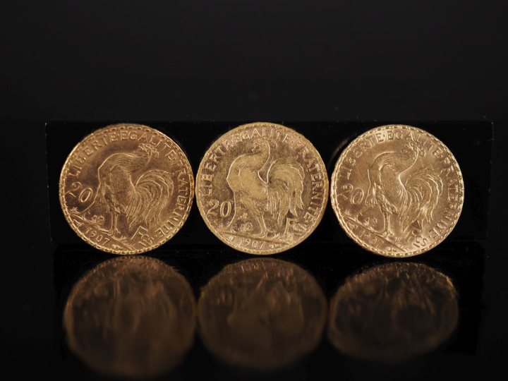 Trois pièces de 20 Francs or, 1907. FRAIS ACHETEURS 10% HT.