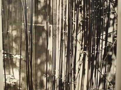 Jean DIEUZAIDE. Photographie en noir et blanc montée sur un paravent à