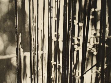 Jean DIEUZAIDE. Photographie en noir et blanc montée sur un paravent à