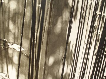 Jean DIEUZAIDE. Photographie en noir et blanc montée sur un paravent à